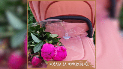 KOŠARA ZA NOVOROĐENČE KOLICA 2U1