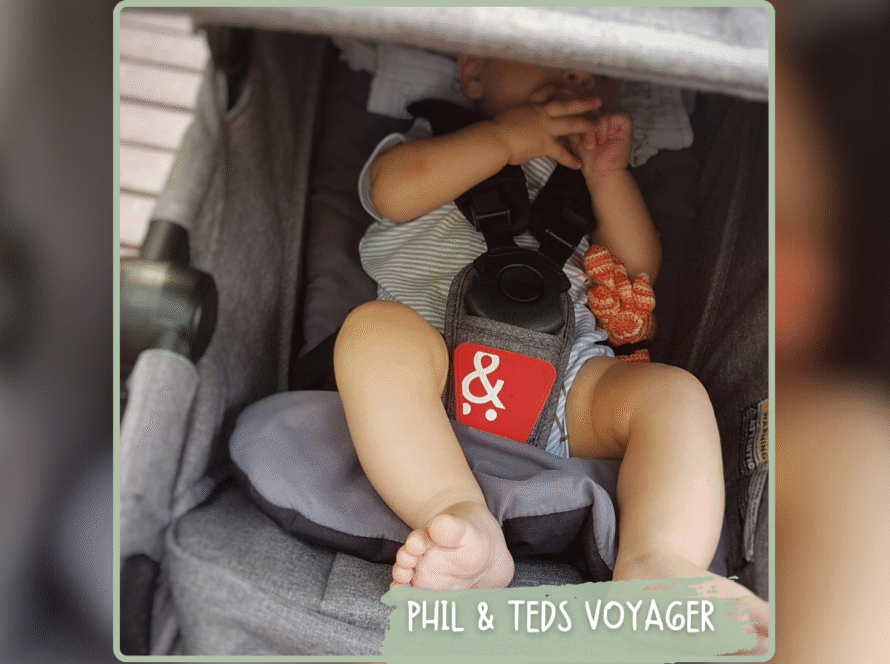 PHIL AND TEDS VOYAGER 2017 2018