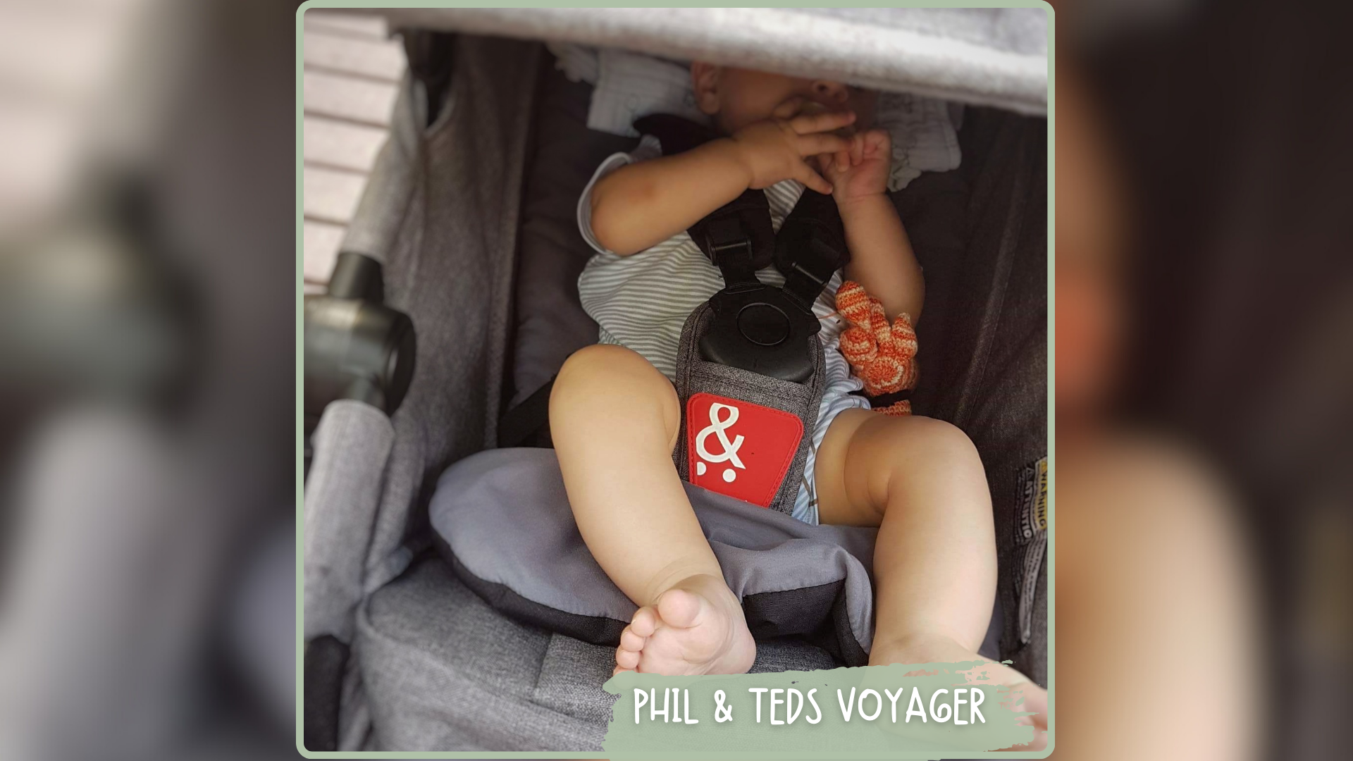 PHIL AND TEDS VOYAGER 2017 2018