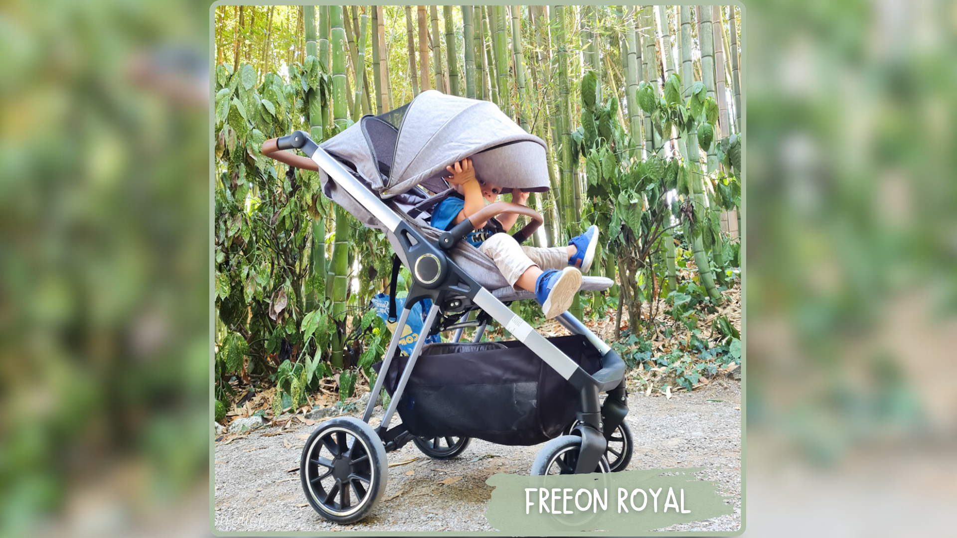 FREEON ROYAL