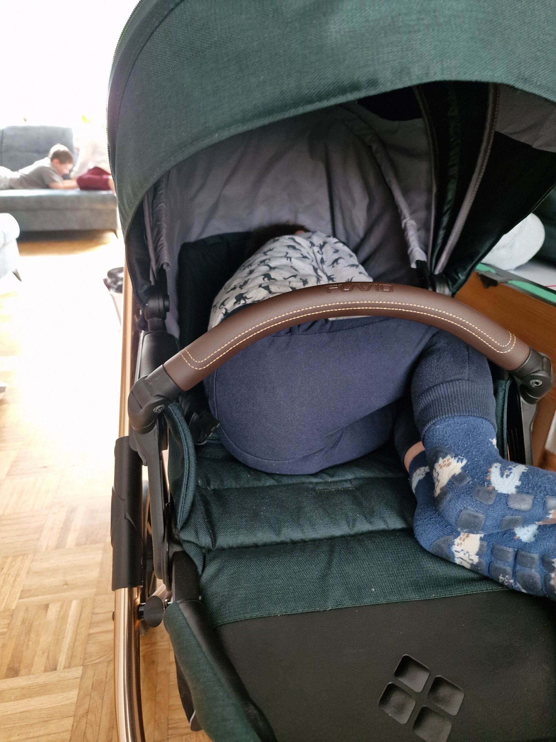 Bebetto Flavio prostranost i iskoristivost